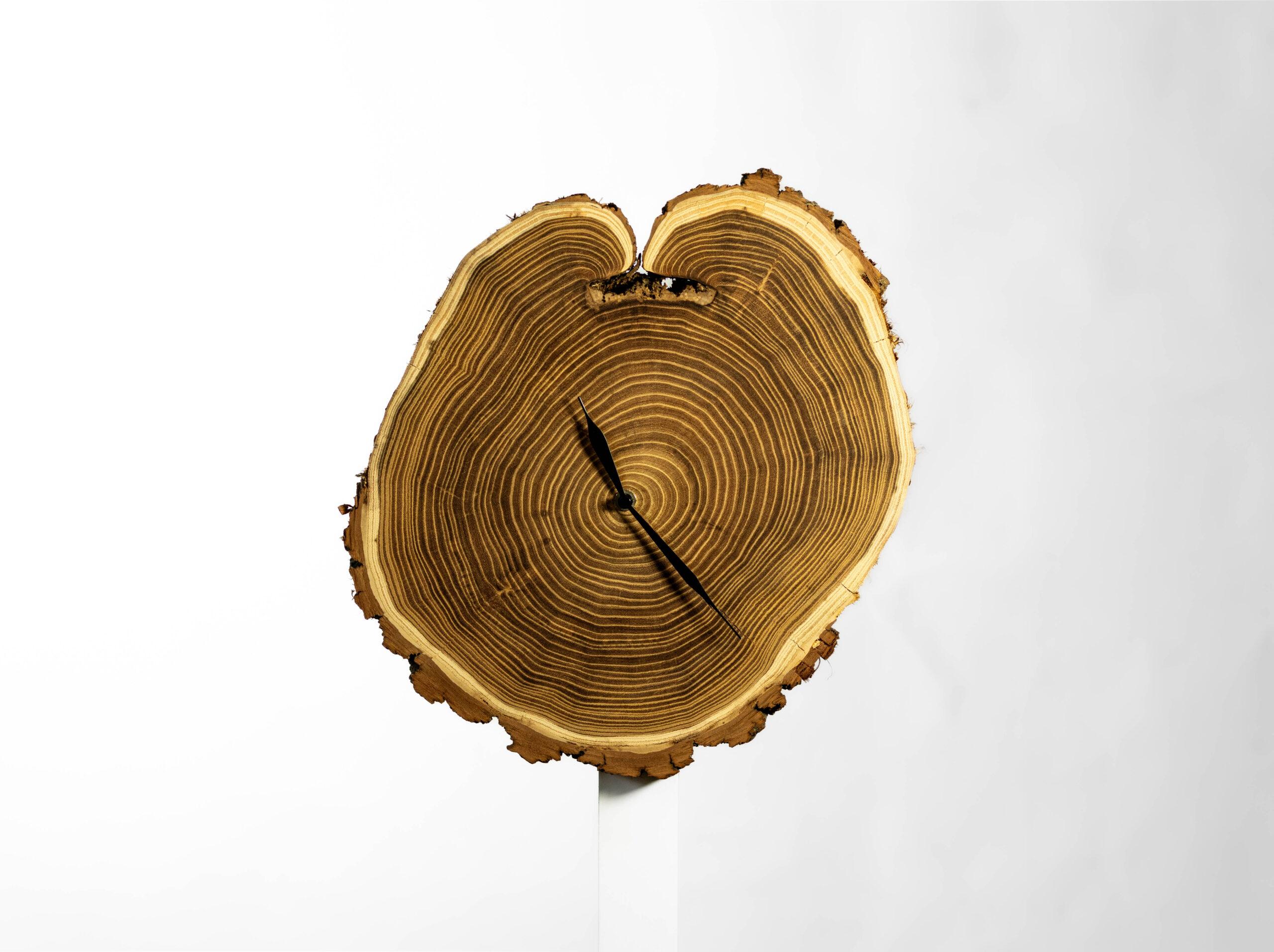 Wanduhr aus natürlicher Eichenscheibe